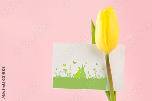 Bunny love against tulip with card