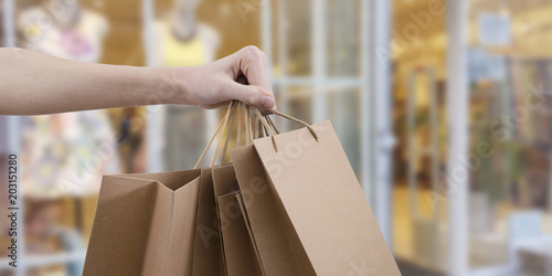 purchases and domestic expenses, shopping bags