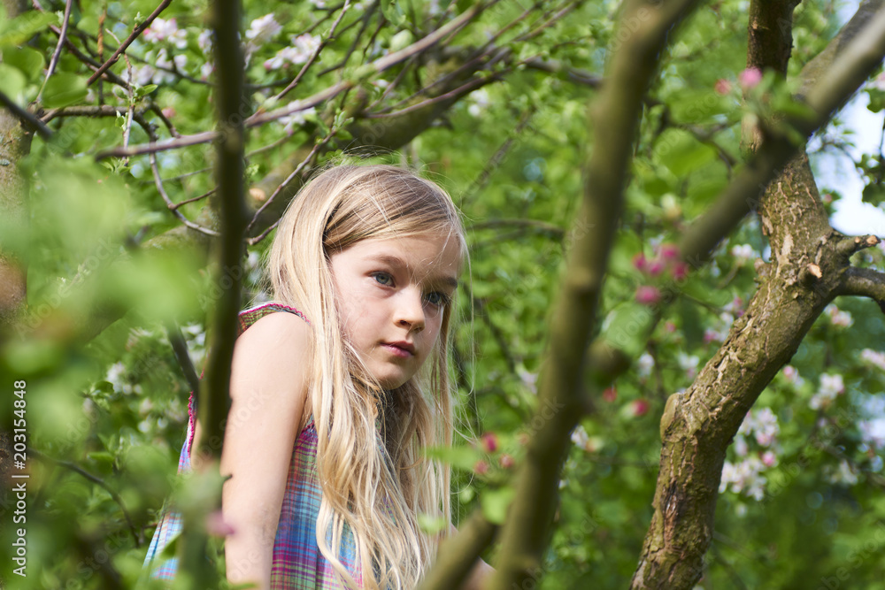 Child blond Girl is climbing on apple tree. Active leisure of skillful female child outdoors. Children summer activities
Child blond Girl is climbing on apple tree. Active leisure of skillful female child outdoors. Children summer activities