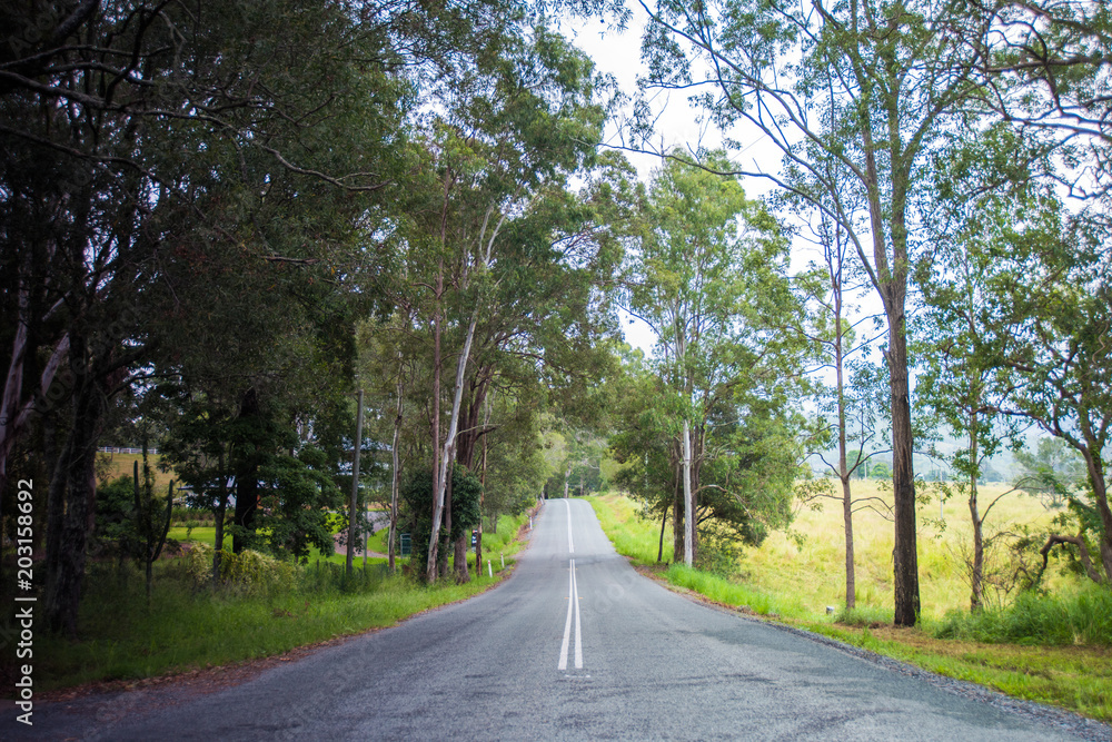 Straight asphalt road winding through Australian bush.
