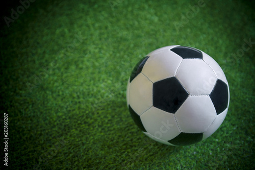 Close up view of a classic black and white football on lush green grass background © lazyllama
