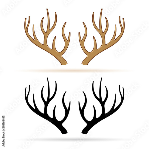 deer horns on white background