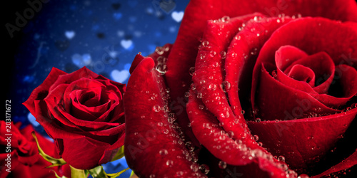 Rose against valentines heart design