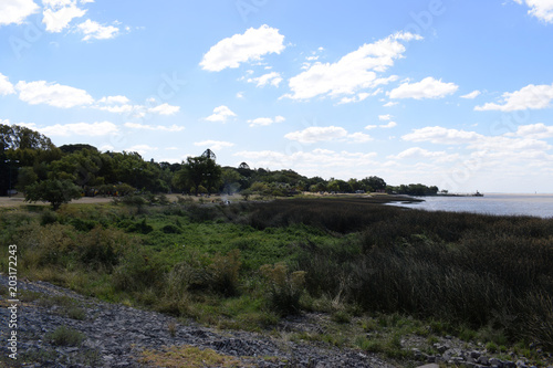 semi wild coast of the ocean, overgrown with grass in the park