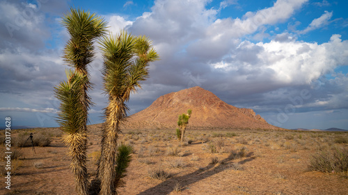 Mojave Desert Sunset