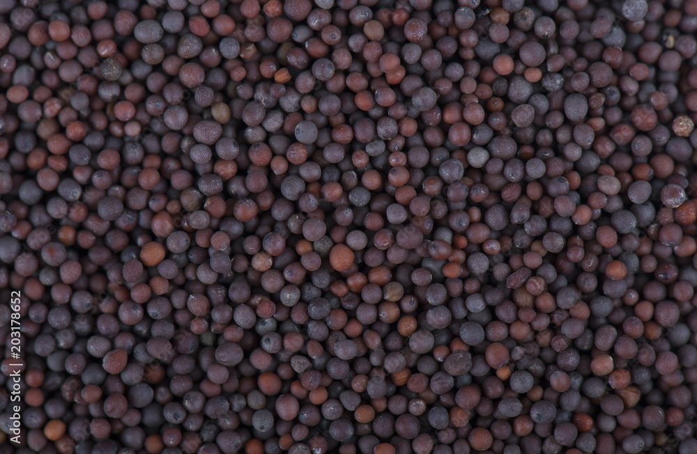 Black mustard seeds background. Close-up of mustard seeds Black mustard seeds background. Close-up of mustard seeds