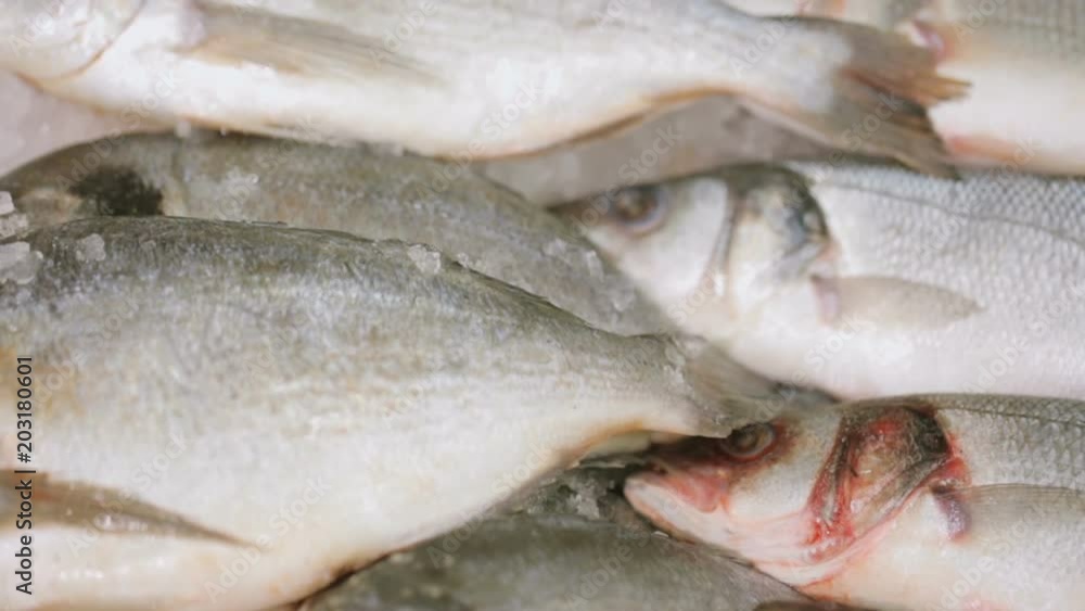 Fish at grocery store Fish at grocery store