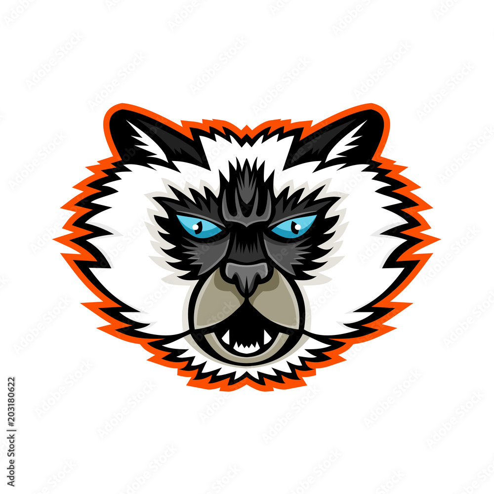 Sports mascot icon illustration of head of a Himalayan cat, a breed of long-haired cat viewed from front on isolated background in retro style.