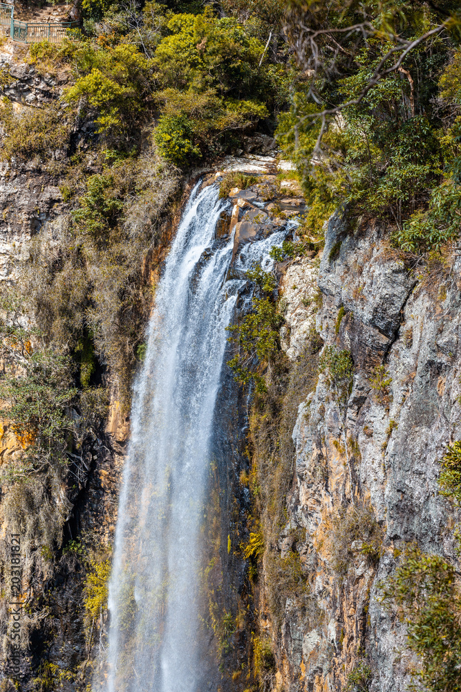 Fototapeta premium Rainbow Falls closeup - beautiful waterfall in Springbrook National Park, Queensland, Australia
