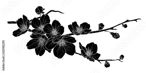 Cute hand drawn silhouette sakura branch set 2.