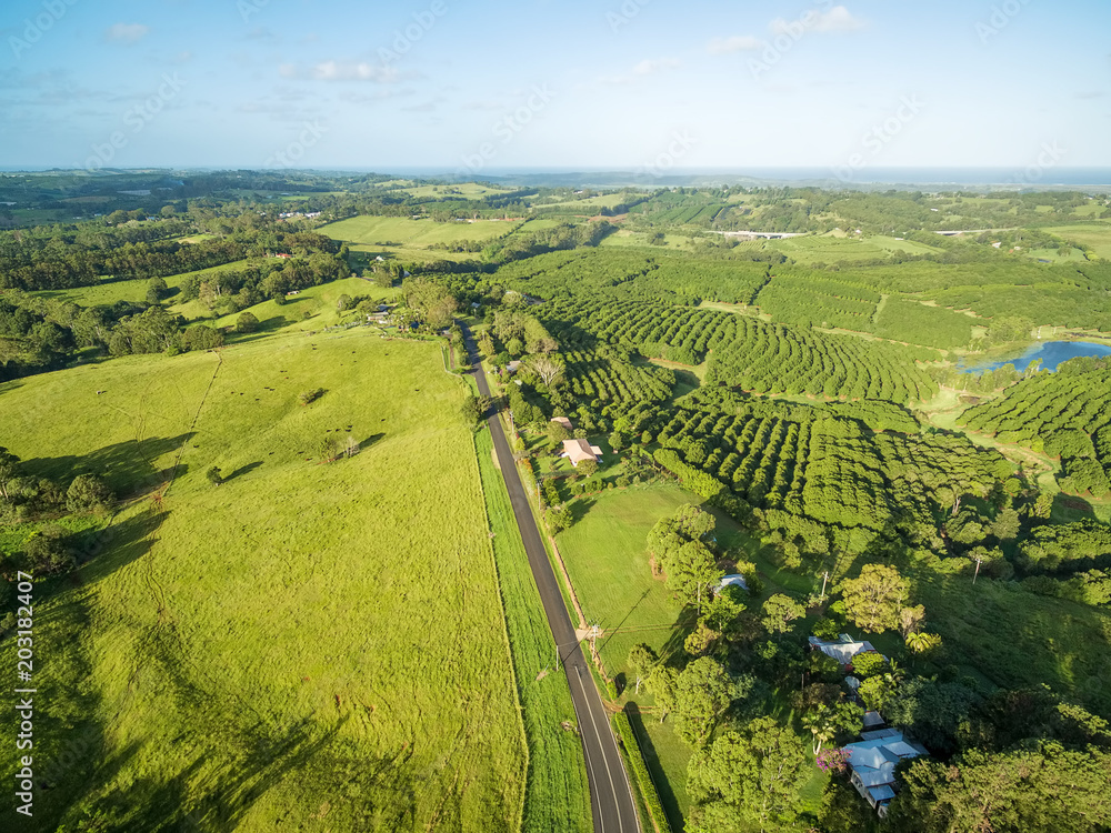 Aerial view of green countryside and macadamia plantations at sunset in Australia