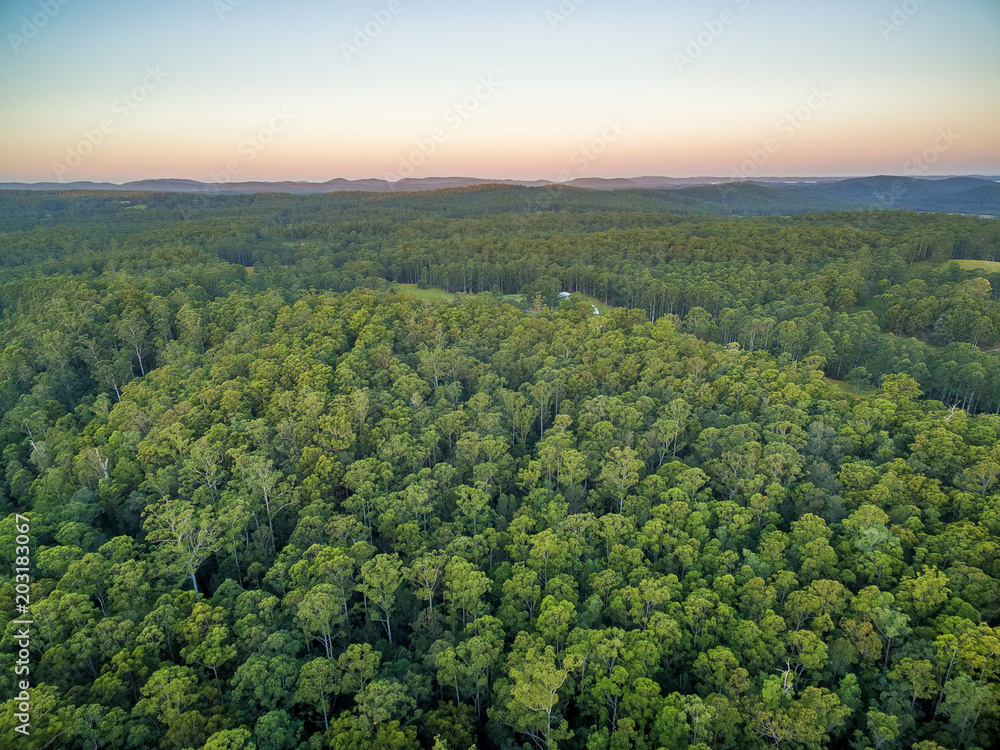 Fototapeta premium Aerial view of native Australian forest and hills at dusk