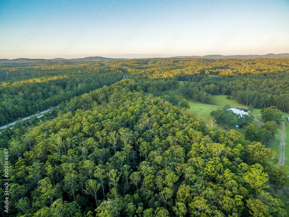 Fototapeta premium Aerial view of native Australian forests and Pacific Highway in New South Wales, Australia