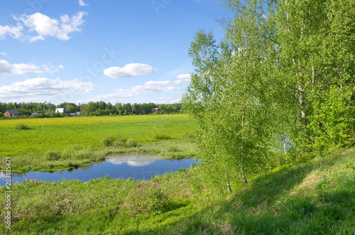Spring rural landscape with river and birch trees on the shore