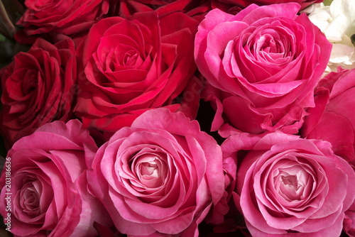 赤とピンクのバラのフラワーアレンジメント - Red and pink roses in flower arrangement © sotopiko