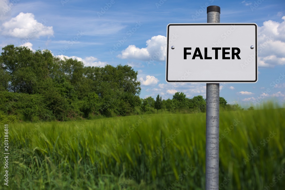 FALTER - Bilder mit Wörtern aus dem Bereich Buchsbaumzünsler Schädling , Wort, Bild, Illustration FALTER - Bilder mit Wörtern aus dem Bereich Buchsbaumzünsler Schädling , Wort, Bild, Illustration