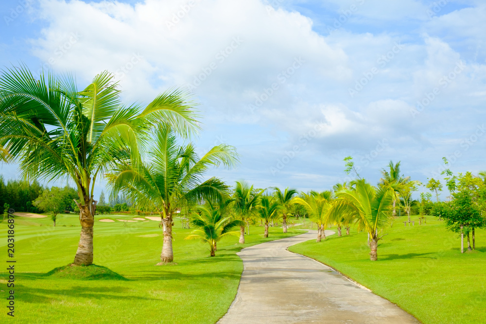 golf course with green grass cart path and coconut tree