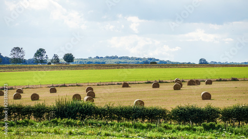 Vibrant fields covered in circular bales of hay, the Cotswolds, England