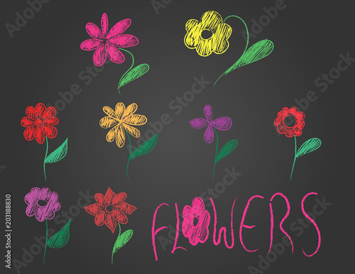 hand drawn flowers and text on black background