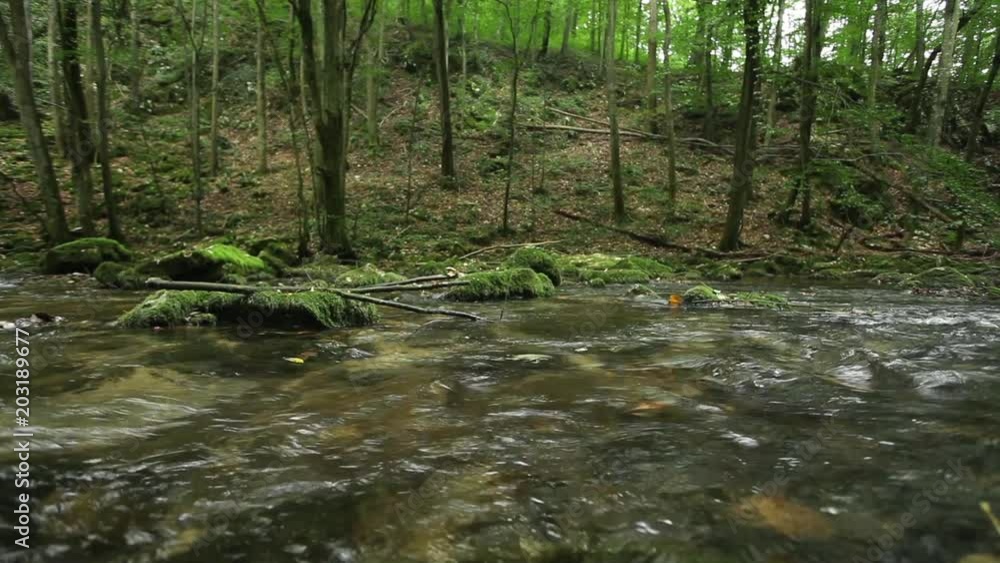 Small creek in deep forest -Nerei - Beușnița Ravine National Park - Romania, handheld footage, no people Small creek in deep forest -Nerei - Beușnița Ravine National Park - Romania, handheld footage, no people