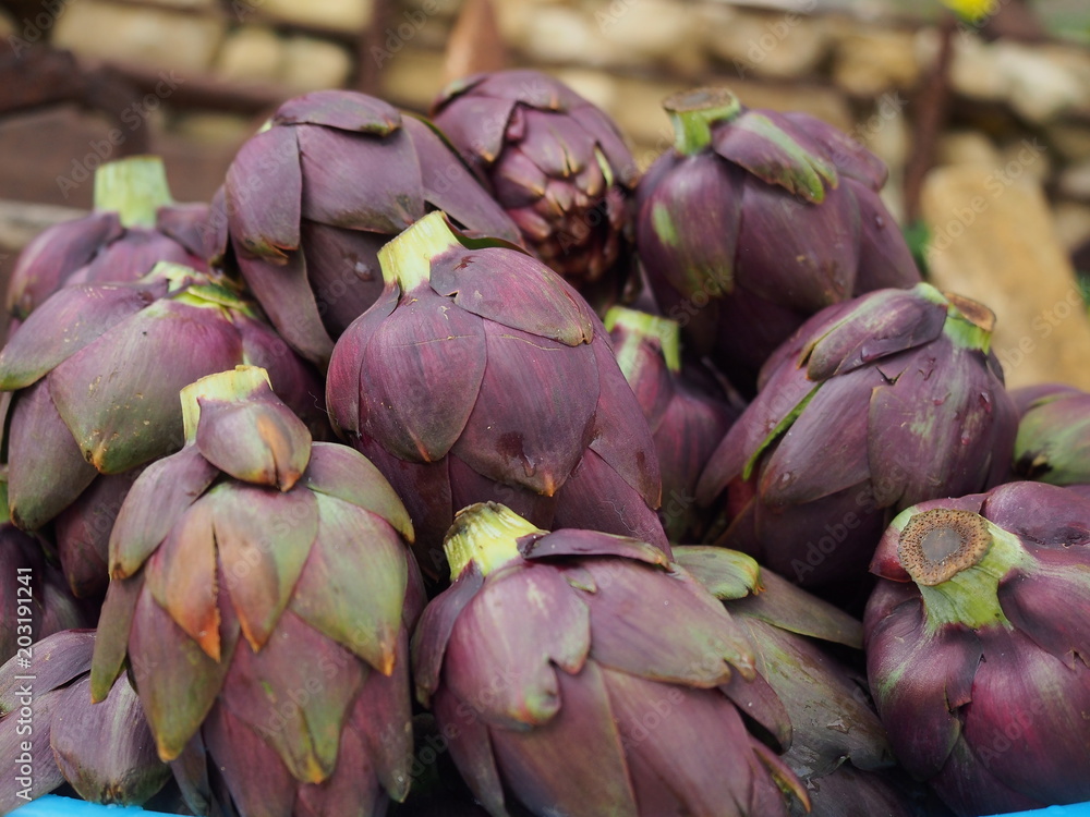 Obraz premium OLYMPUS DIGITAL CAMERA