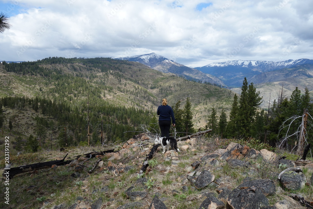 Fototapeta premium Springtime in the Pacific Northwest