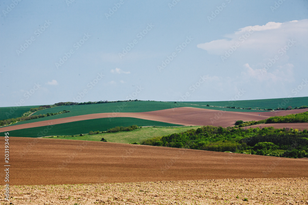 Agricultural land, varied terrain. Spring Landscape in the Danube Plain Bulgaria.