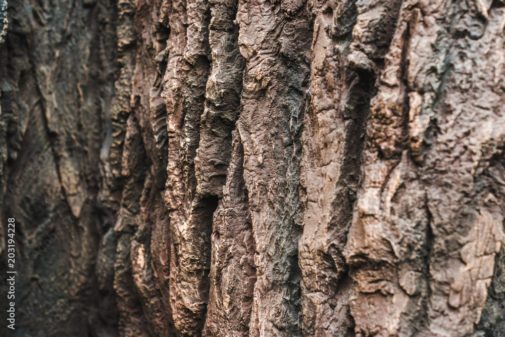 full frame shot of beautiful rocky texture for background full frame shot of beautiful rocky texture for background