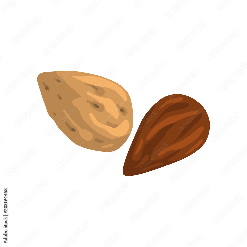 Almond nut, nutritious natural product vector Illustration on a white background Almond nut, nutritious natural product vector Illustration on a white background