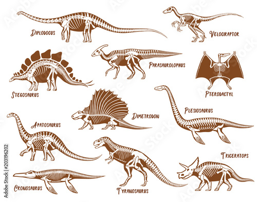 Dinosaurs Decorative Icons Set