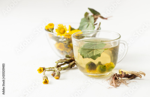 Cup with infusion of coltsfoot and flowers with leaves on white table.