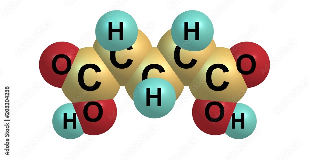 Fototapeta premium Glutaric acid molecular structure isolated on white