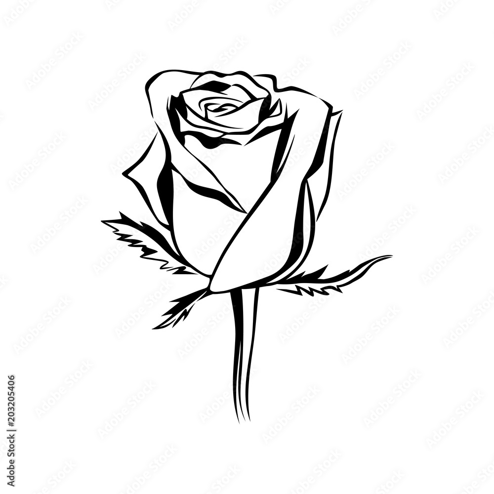 Vector rose bud outline silhouette. Logo, tattoo or emblem of rose. Flower  element. Hand drawn illustration rose isolated on white background. Stock  Vector | Adobe Stock