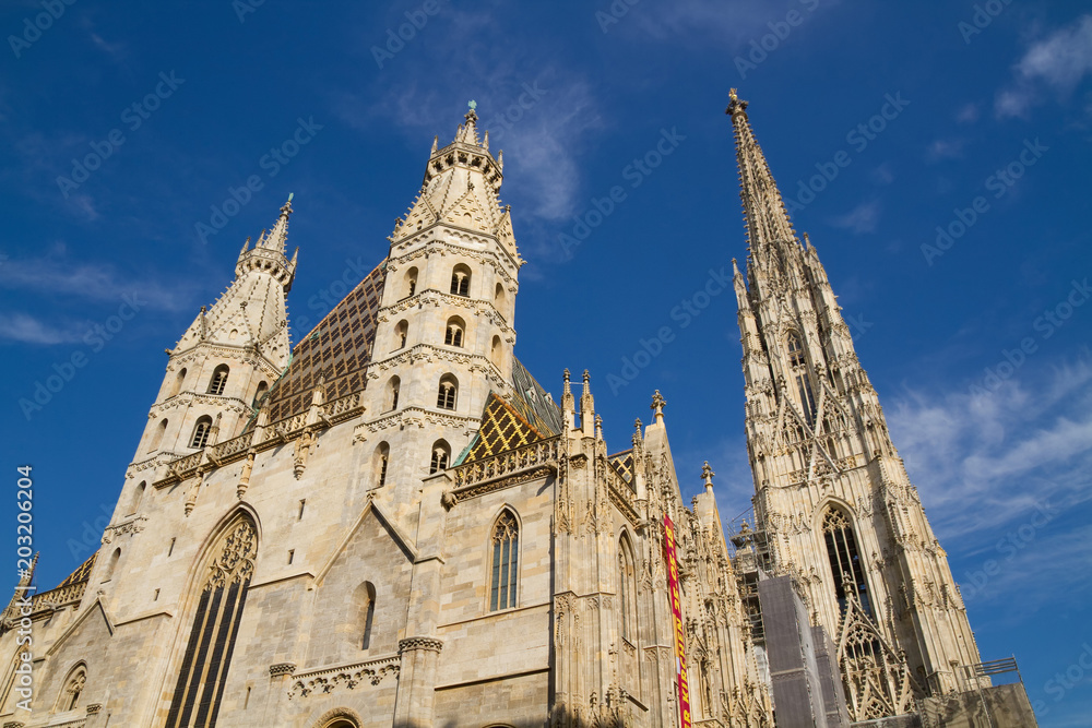 Fototapeta premium Stephansdom in Wien