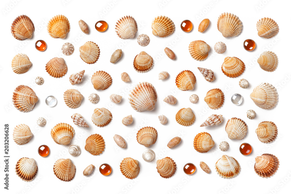Pattern made of shells and orange glass beads isolated on white background Pattern made of shells and orange glass beads isolated on white background