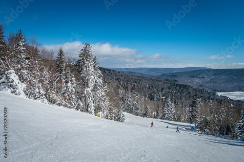 Wallpaper Mural beautiful nature and scenery around snowshoe ski resort in cass west virginia Torontodigital.ca