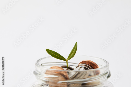 close-up shot of various coins in mason jar with growing sprout isolated on white