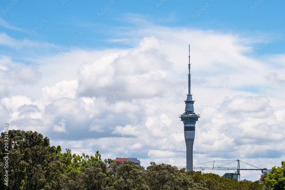 Obraz premium Auckland Skytower over the green trees with clouds and blue sky.