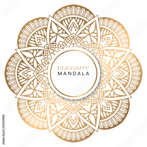 Vector round abstract circle. Mandala style.