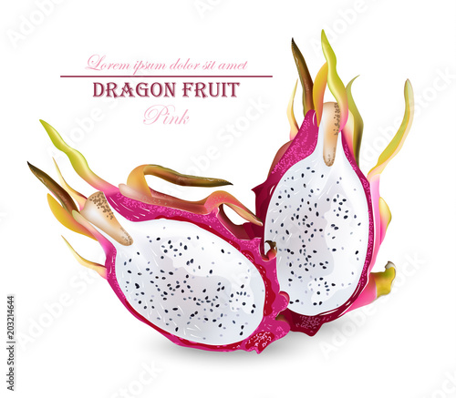 Dragon fruit isolated Vector realistic. Summer tropic pitaya healthy fruits
