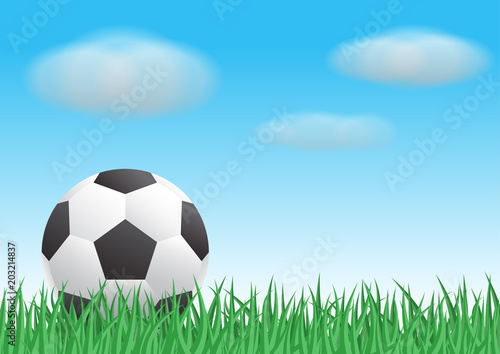 football on grass with clouds and sky background