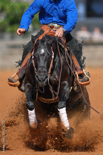 The front view of a rider in jeans, cowboy chaps and blue shirt on a reining horse slides to a stop in the red clay an arena.