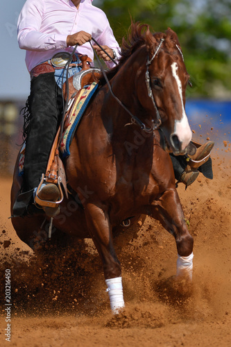 The front view of a rider in jeans, cowboy chaps and checkered shirt on a reining horse slides to a stop in the red clay an arena. © PROMA