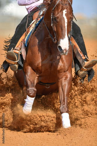 The front view of a rider in cowboy chaps and boots on a horseback stopping the horse in the dust. © PROMA
