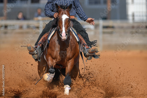 The front view of a rider in cowboy chaps and boots on a horseback stopping the horse in the dust.
