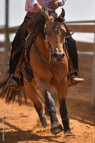 The rider on a reining horse slides to a stop in the red clay an arena.