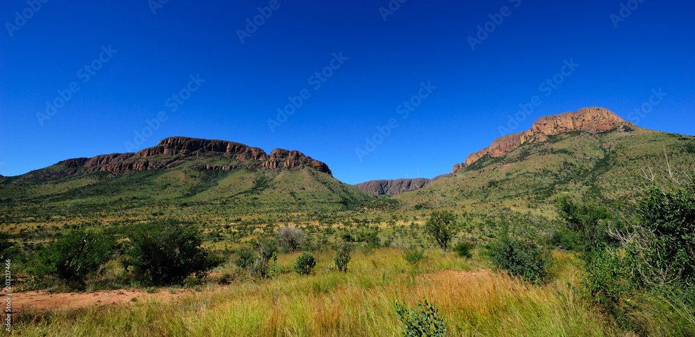 Fototapeta premium Marakele National Park