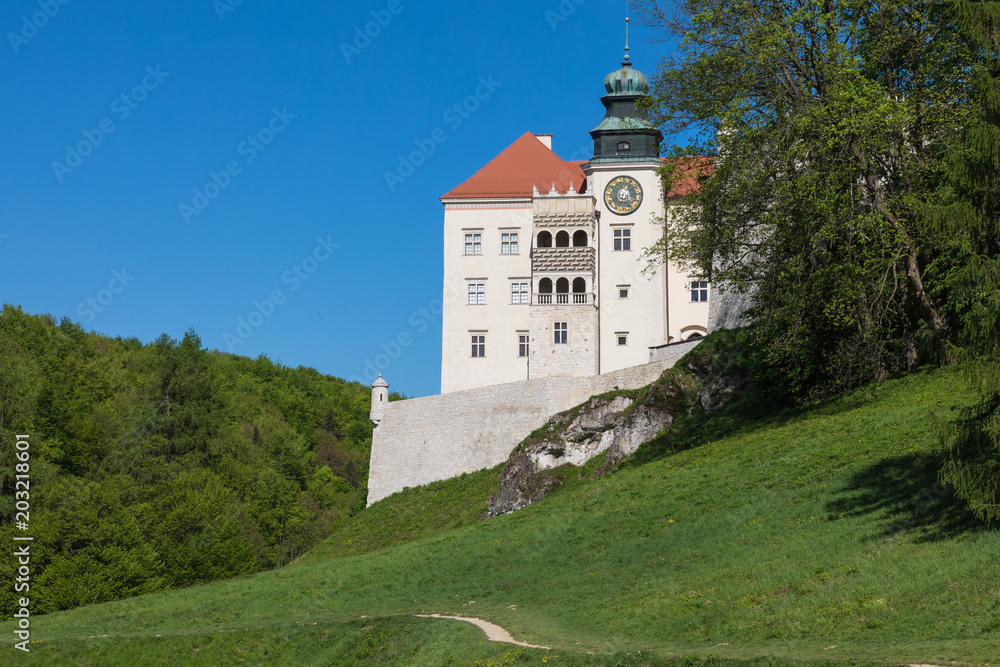 Castle Pieskowa Skala near Krakow, Poland. Castle Pieskowa Skala near Krakow, Poland.