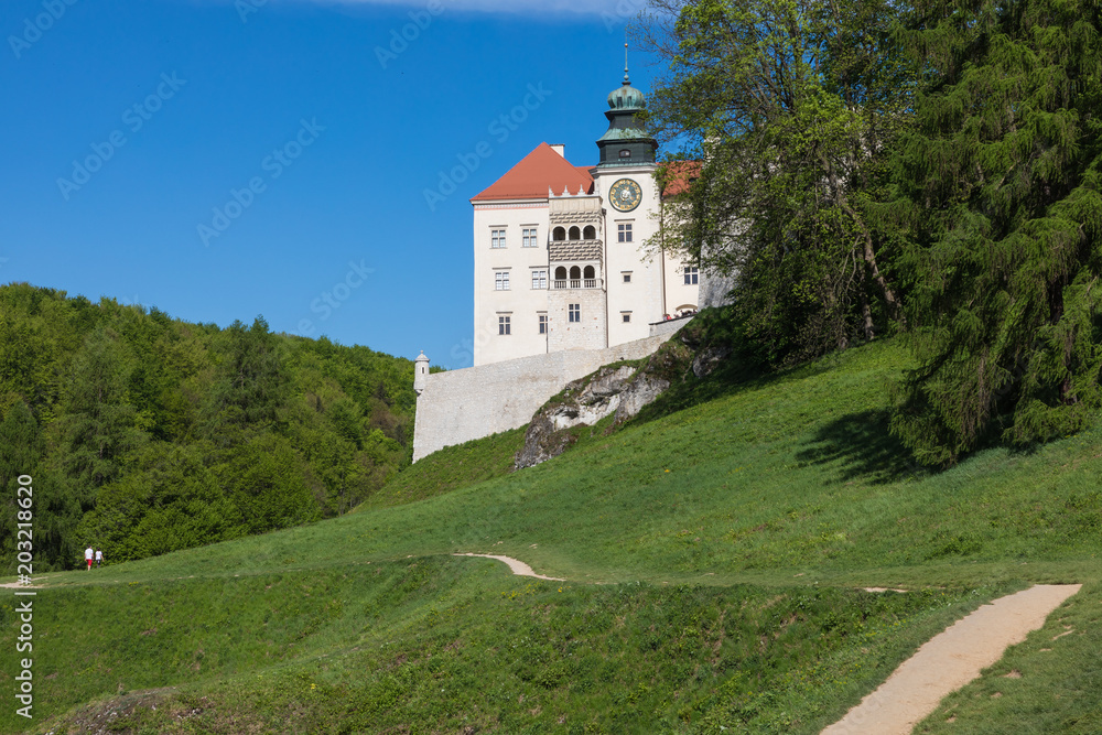 Castle Pieskowa Skala near Krakow, Poland. Castle Pieskowa Skala near Krakow, Poland.
