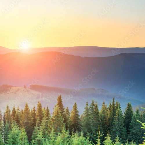 Fototapeta Naklejka Na Ścianę i Meble -  Sunset in the mountains with forest and big shining sun